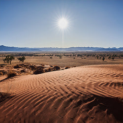 KALAHARI WÜSTE1